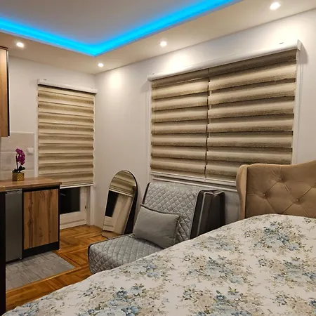 Apartment Lukijan Pale