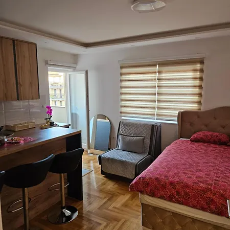 Apartment Lukijan Pale